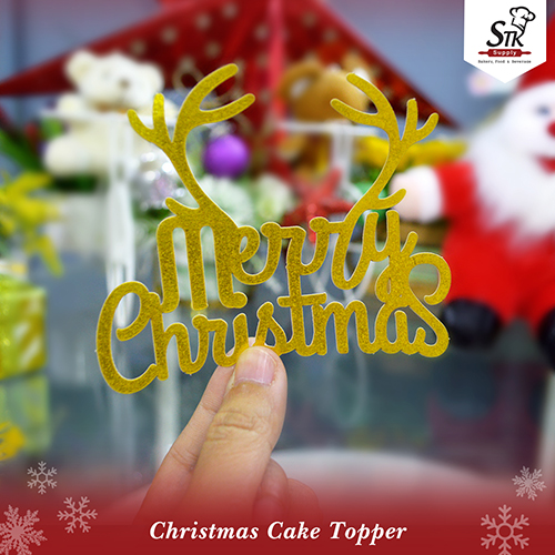 MERRY CHRISTMAS CAKE TOPPER (10PCS)SET